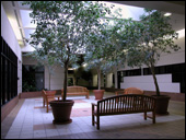 Interior office center common area with benches, trees and skylights for abundant natural light.