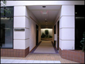 Entrance to an office corridor is brightened with natural light.