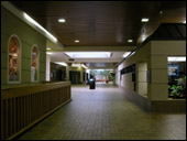 Office common area corridor.